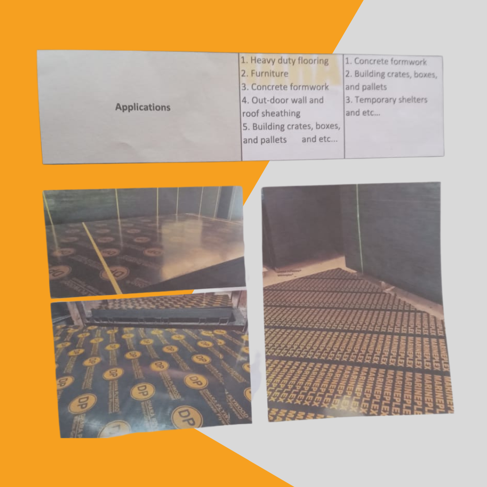 Dhara Plywood -12mm and 15mm - Image 4